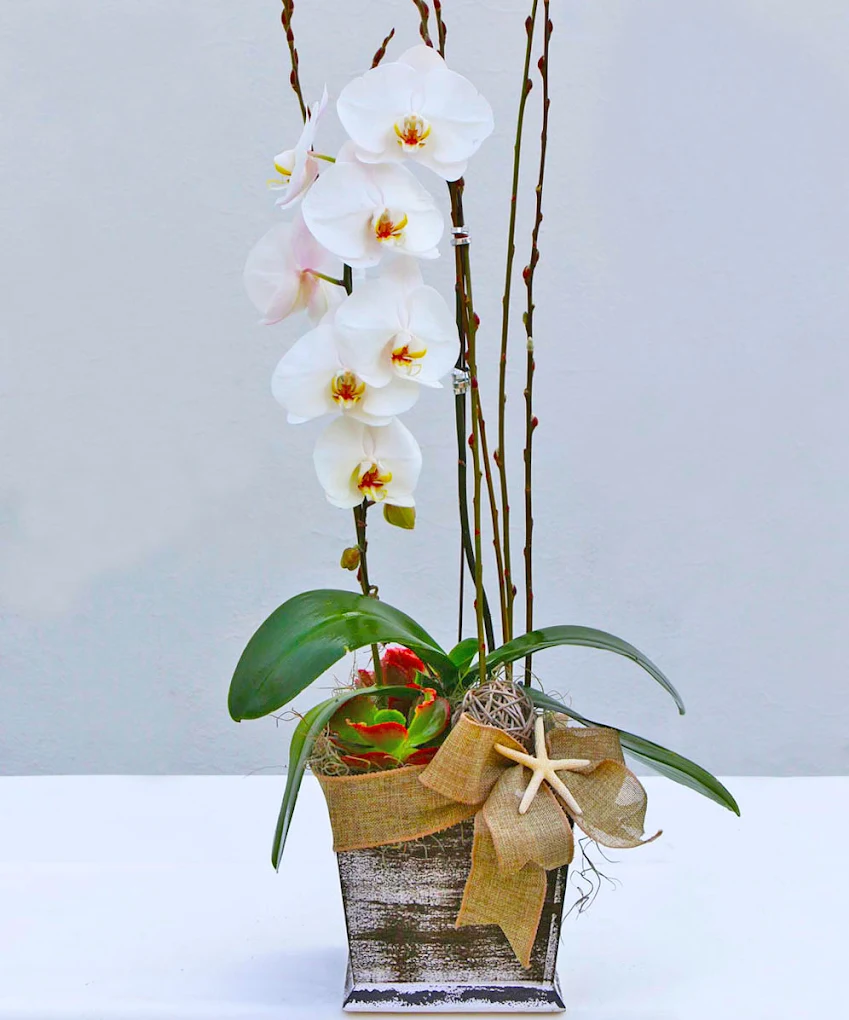 French Florist